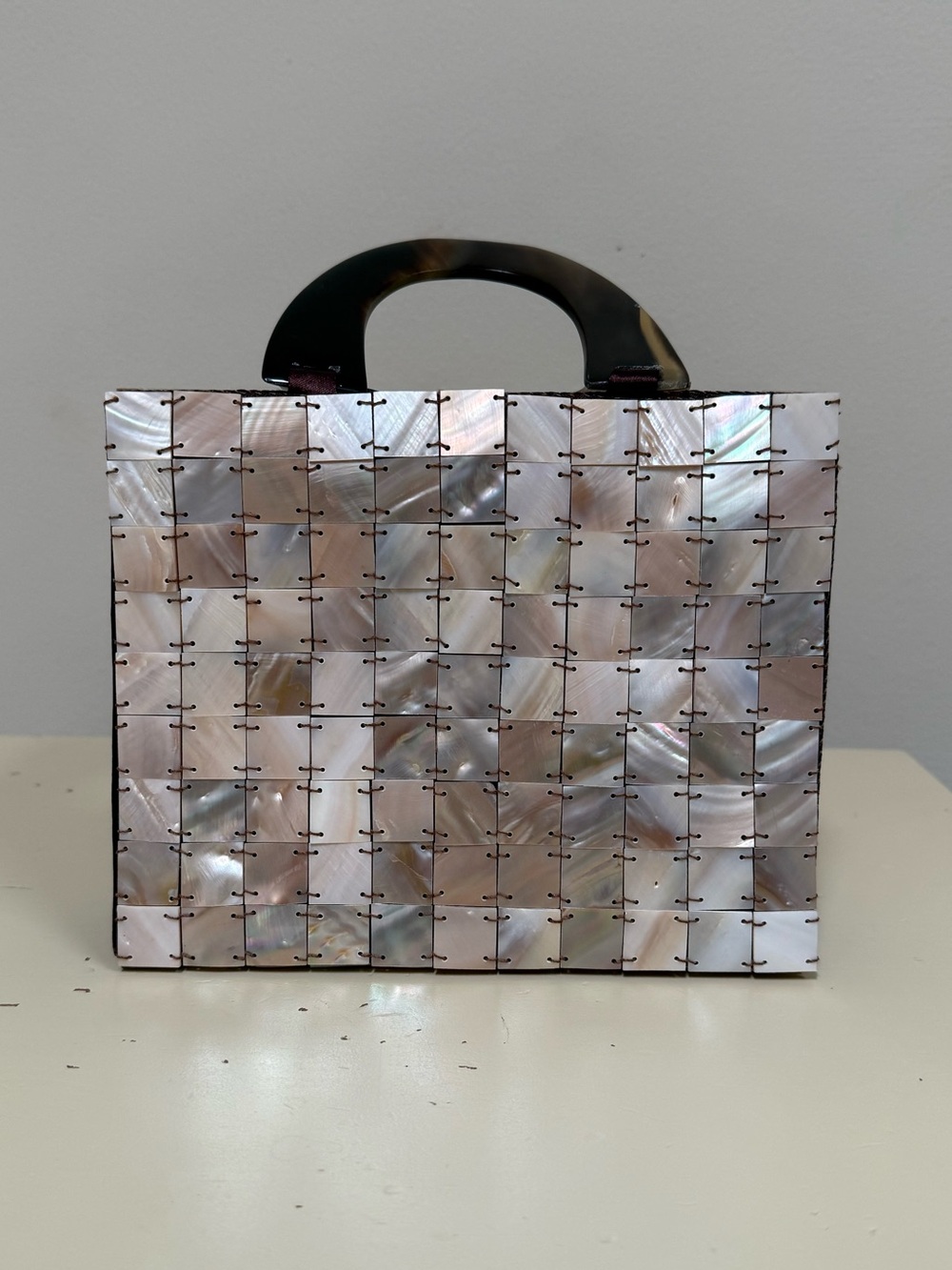Iridescent Shell Panel Bag with Tortoise Handle
